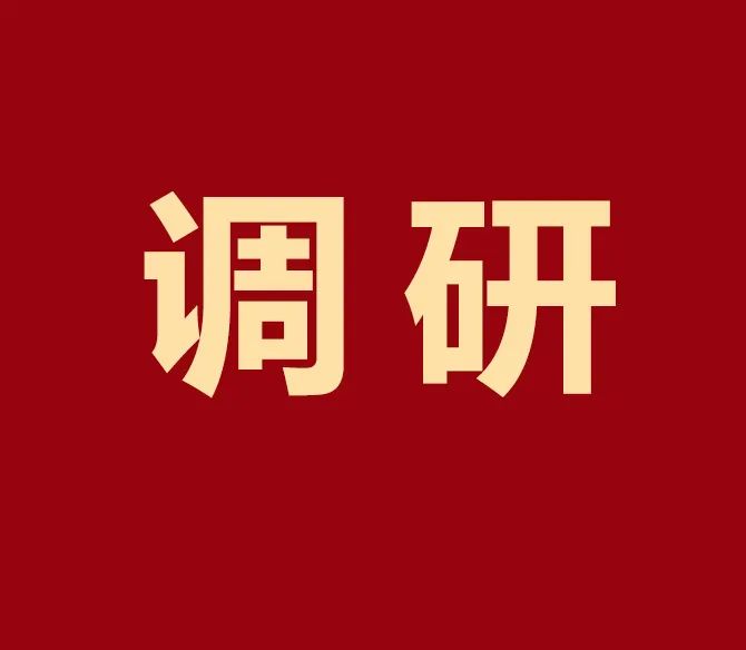 廣東省中小企業特色產業集群調研組蒞臨凱碩集團調研
